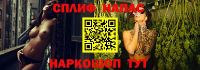 jwh Кингисепп