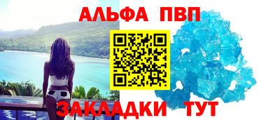jwh Кингисепп
