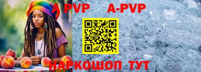 jwh Кингисепп