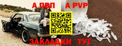 jwh Кингисепп